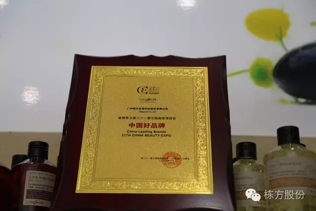 科技引領(lǐng)美麗▏棟方股份榮獲“中國好品牌獎(jiǎng)”！
