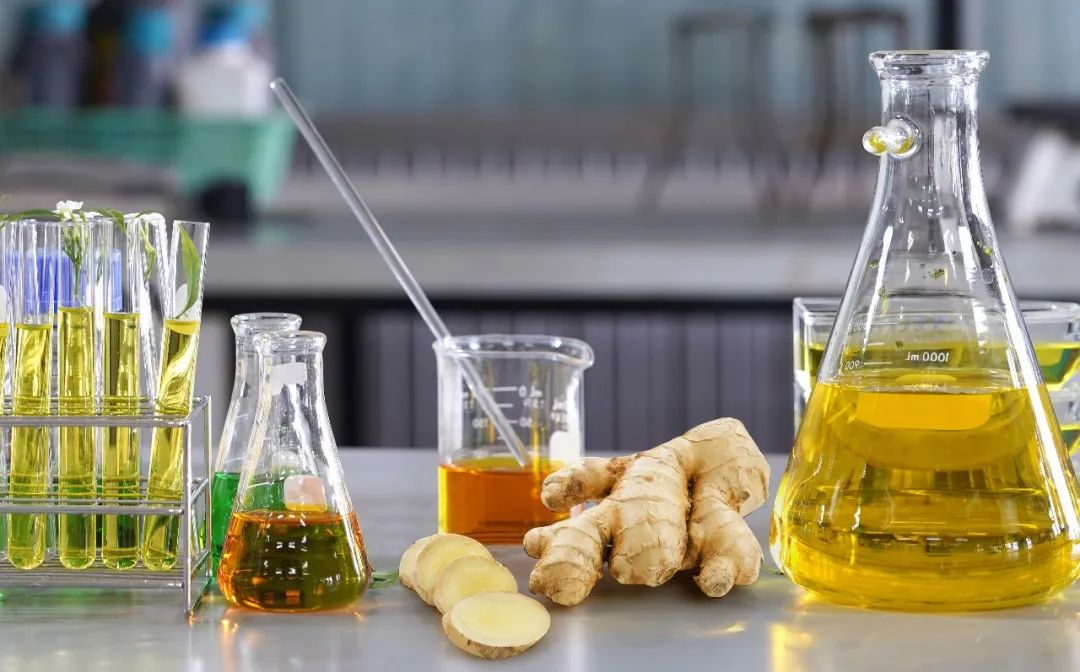 棟方股份榮獲2021年廣東省科技進步獎，科研創(chuàng)新實力再獲認可！