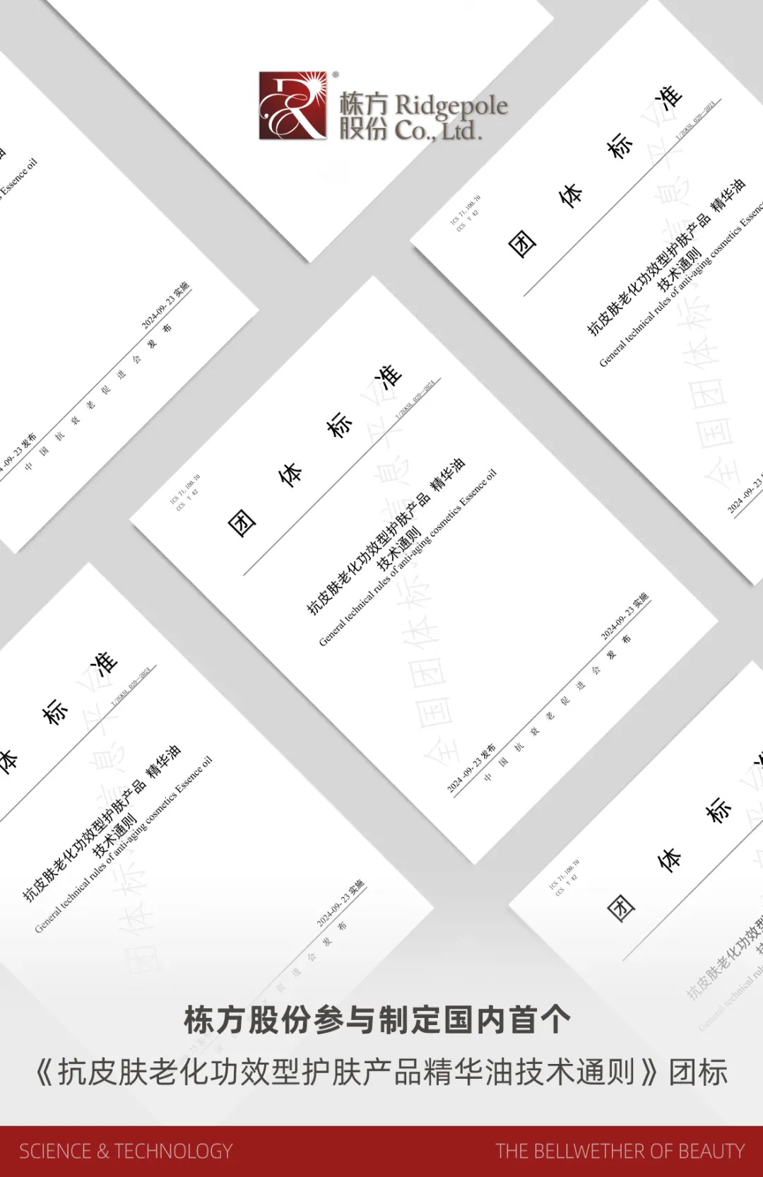 標準引領丨國內首個《抗皮膚老化功效型護膚產品精華油技術通則》團體標準正式發(fā)布